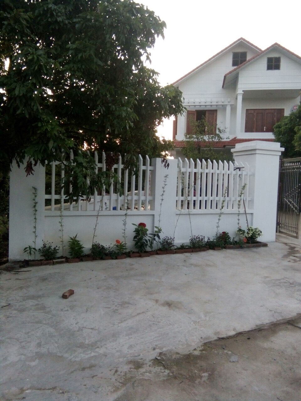 Hoa văn xây dựng G&T