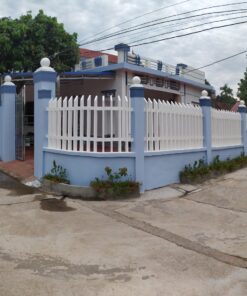 d29bfb1684cd799320dc