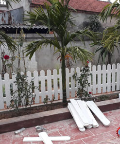 hang rao gia go xi mang