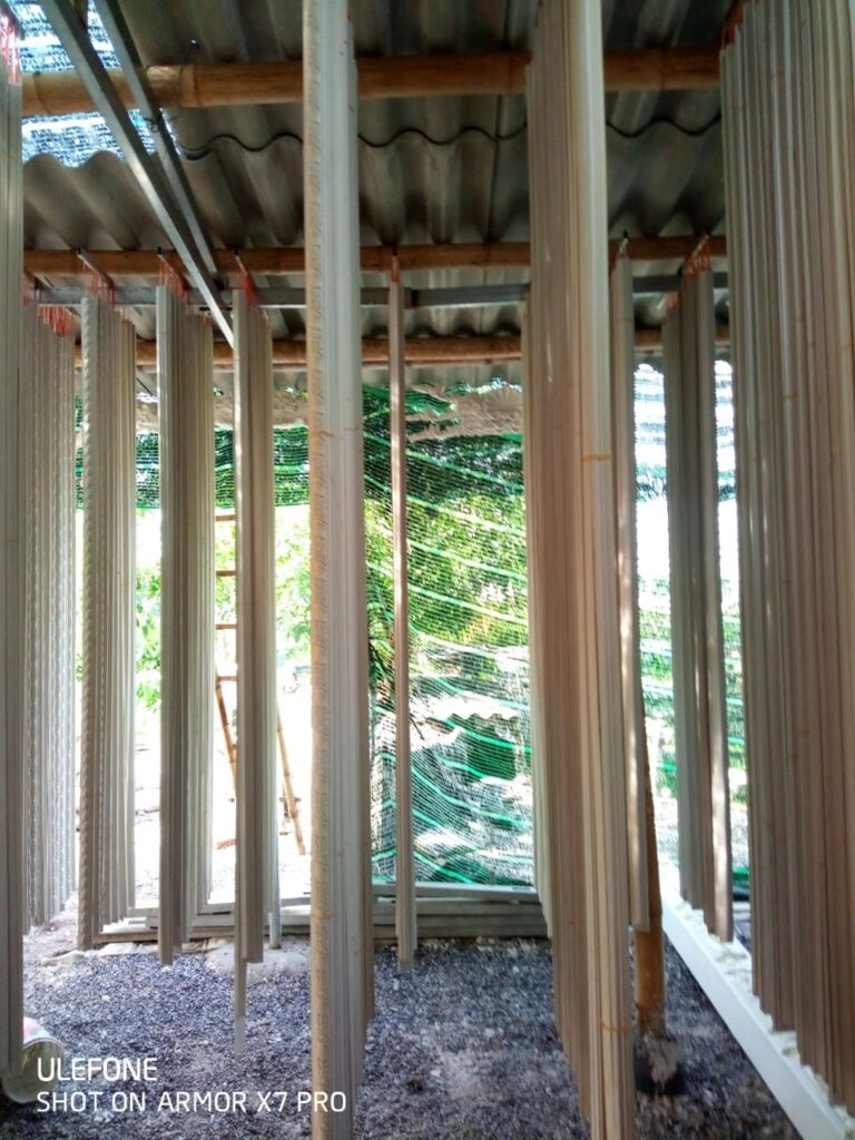 phao chi xi mang duc san 31